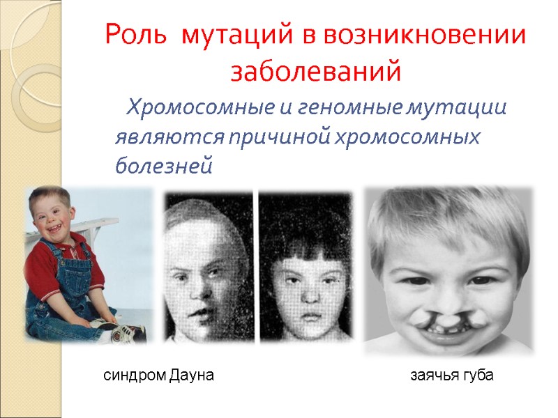 Роль  мутаций в возникновении заболеваний        Хромосомные